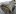 All Used Auto Parts World LLC